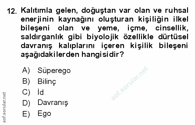 Soru 12