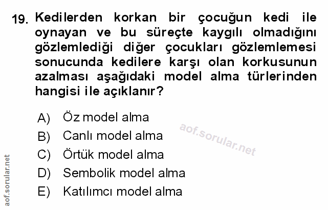 Soru 19