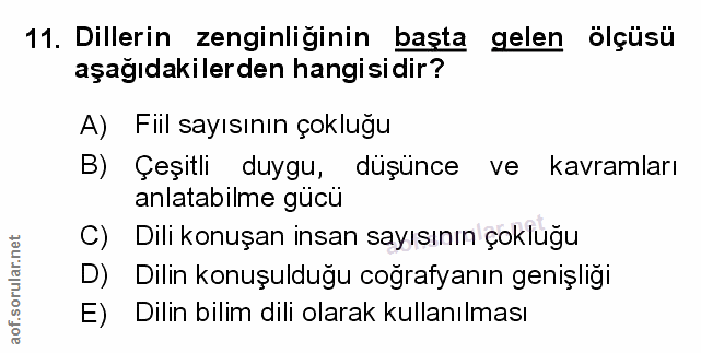 Soru 11