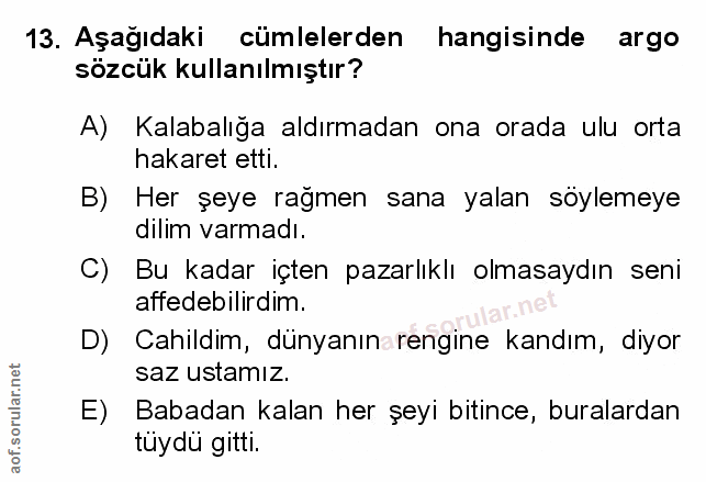 Soru 13