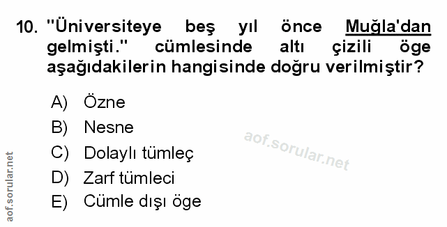 Soru 10