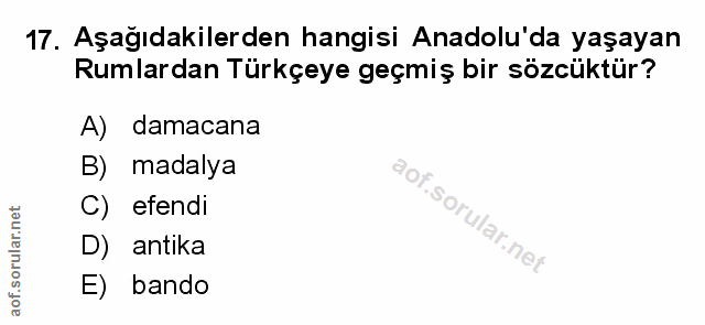 Soru 17