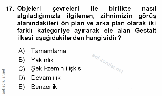 Soru 17