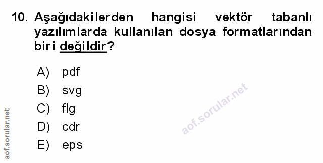 Soru 10
