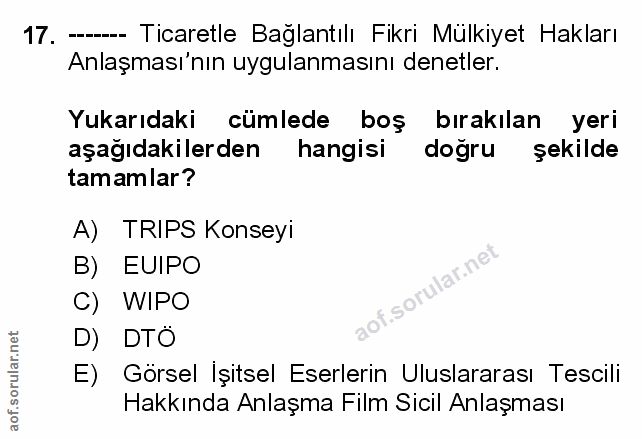 Soru 17