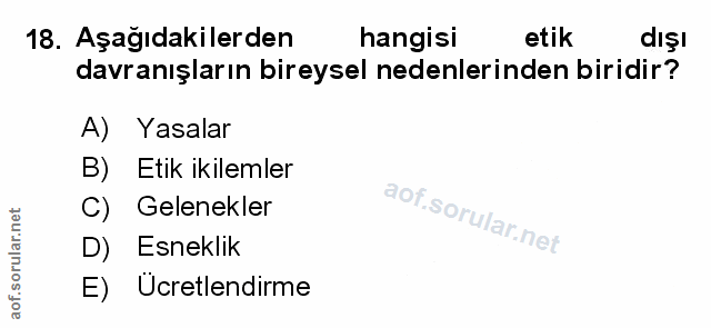 Soru 18