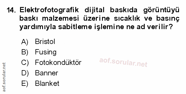 Soru 14