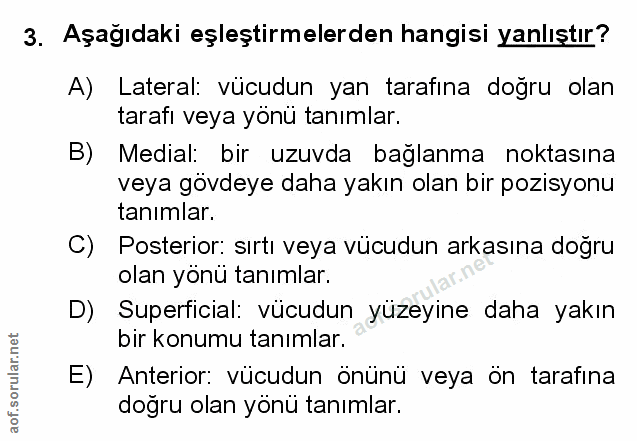 Soru 3