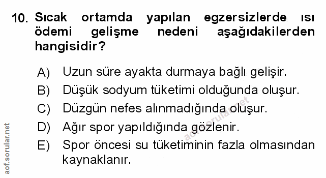Soru 10