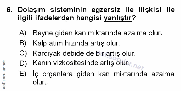 Soru 6