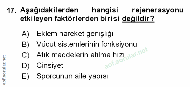 Soru 17