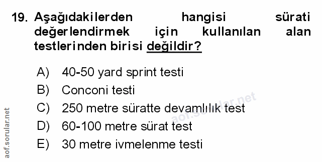 Soru 19