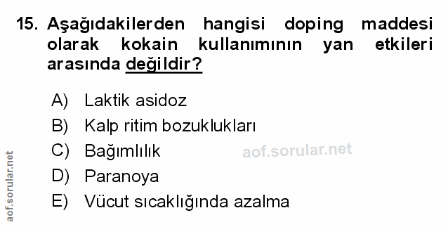 Soru 15