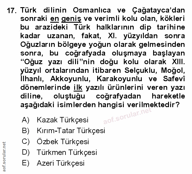 Soru 17