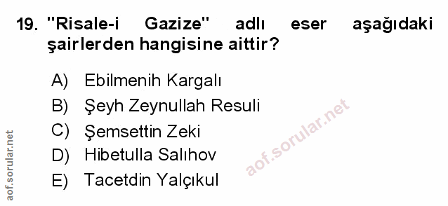Soru 19