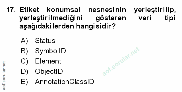 Soru 17