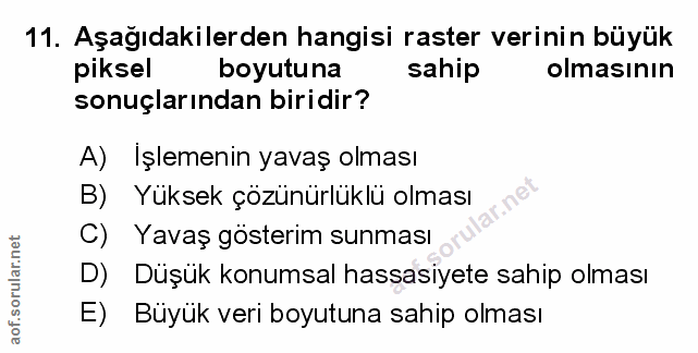 Soru 11