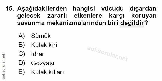 Soru 15