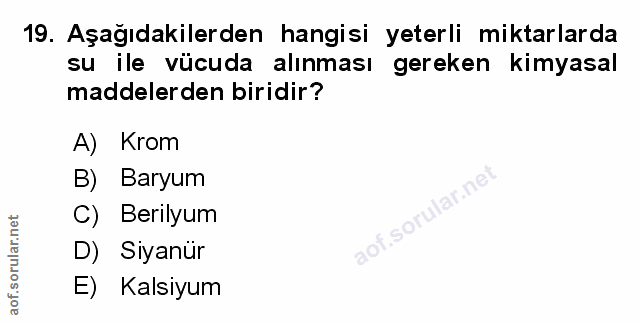 Soru 19
