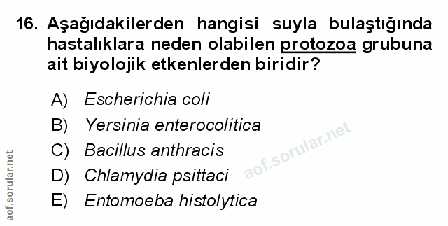 Soru 16