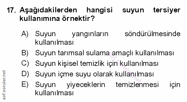 Soru 17