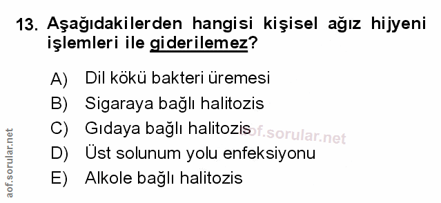 Soru 13