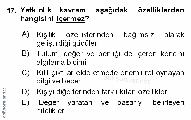 Soru 17