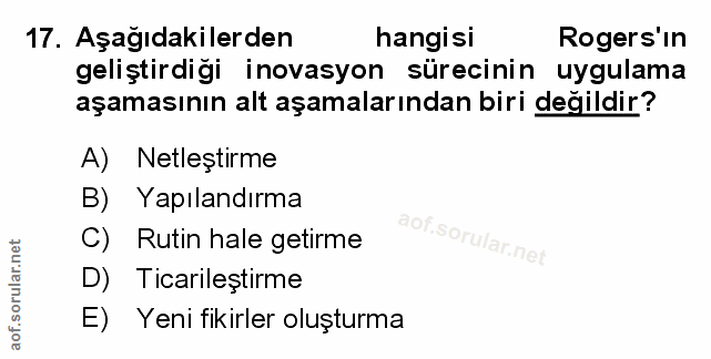 Soru 17