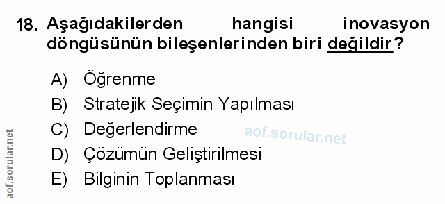Soru 18