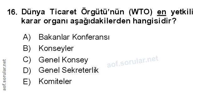 Soru 16