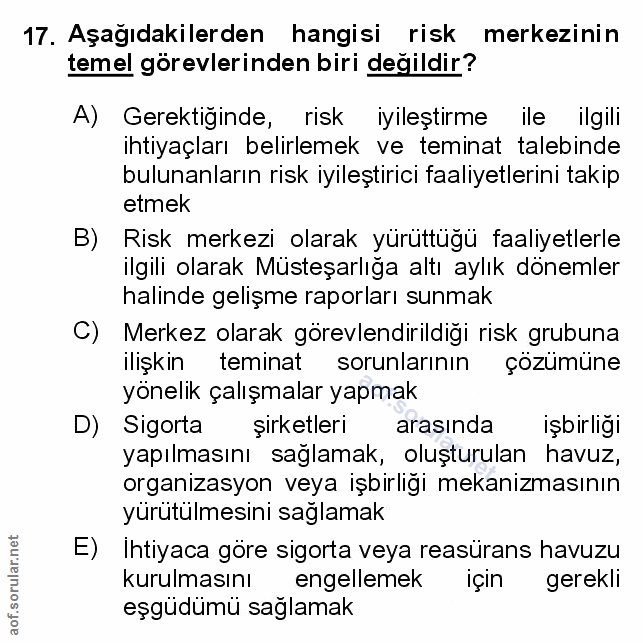 Soru 17