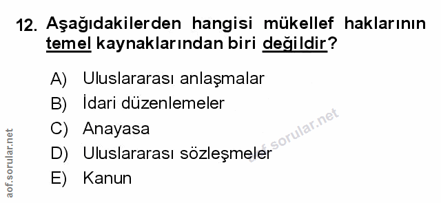 Soru 12