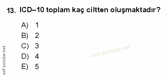 Soru 13