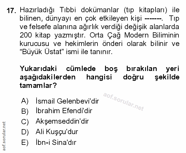 Soru 17