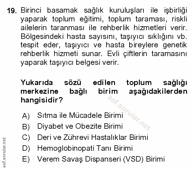 Soru 19