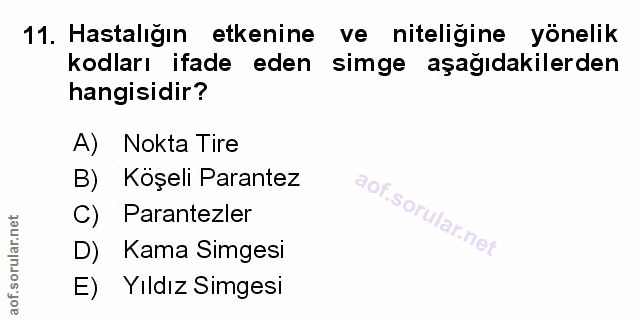 Soru 11