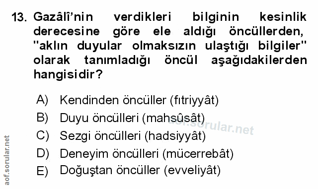 Soru 13