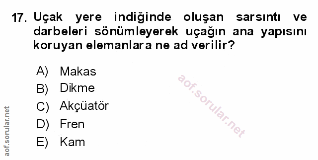 Soru 17