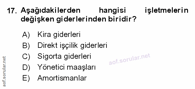Soru 17
