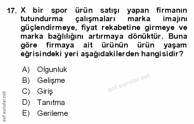 Soru 17