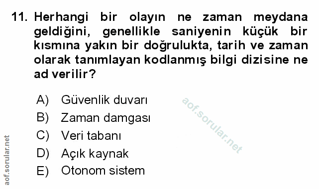 Soru 11