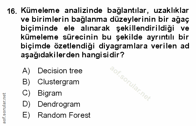 Soru 16