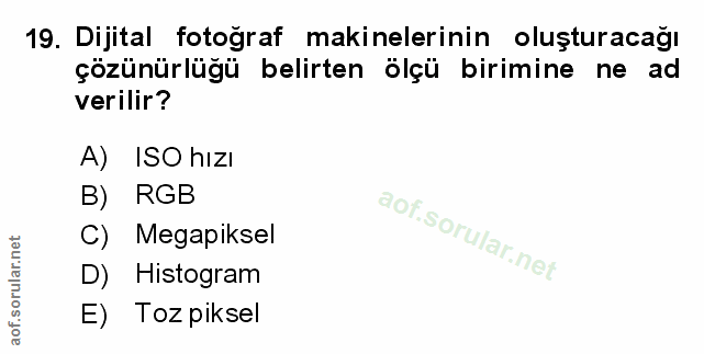 Soru 19