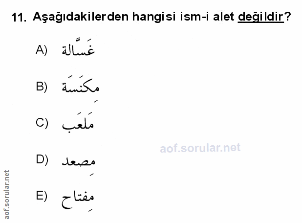 Soru 11