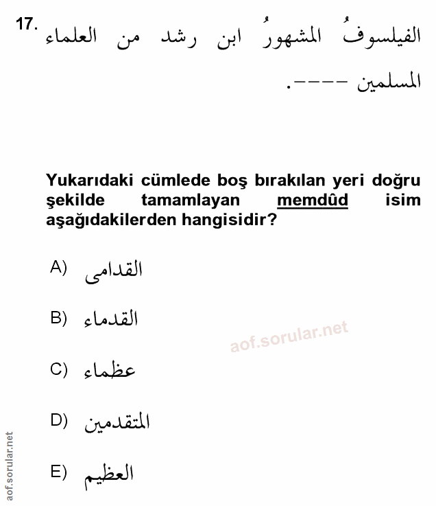 Soru 17