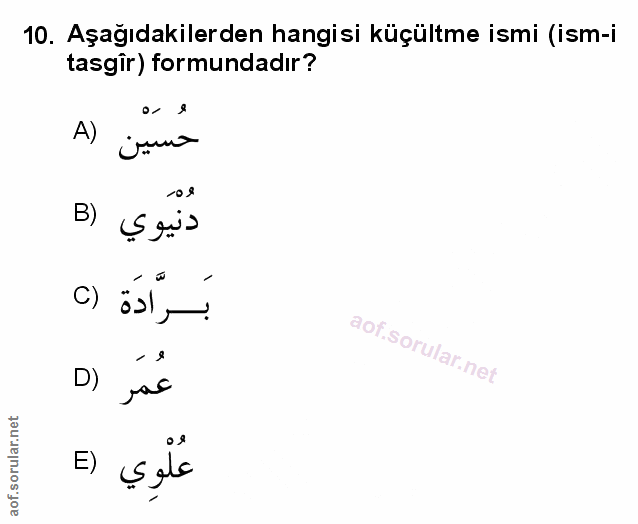 Soru 10