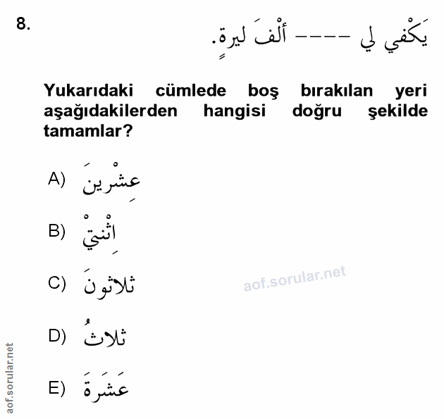 Soru 8
