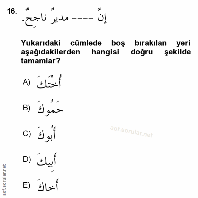Soru 16