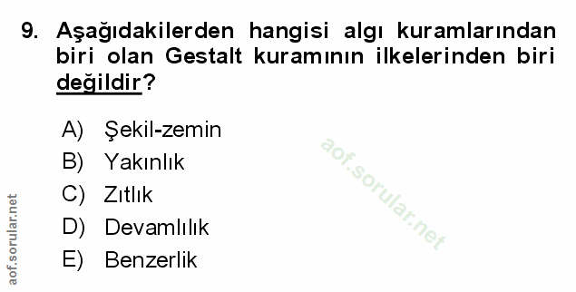 Soru 9