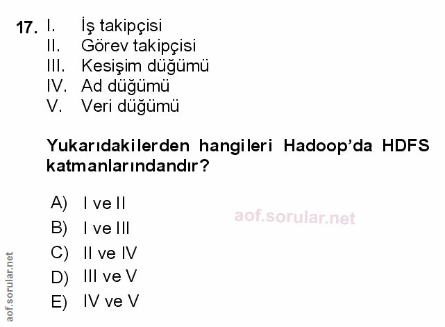 Soru 17